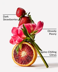 Ghoul Friend Fine Fragrance Mist