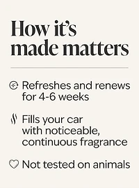 Eucalyptus Spearmint Car Fragrance Refill