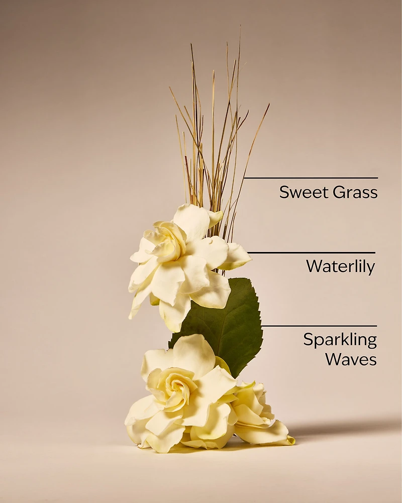 Seagrass Serenity Wallflowers Refills 2-Pack