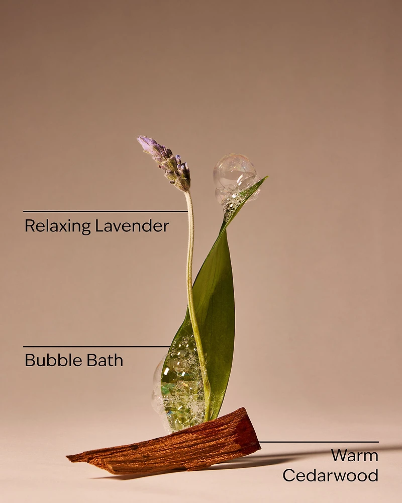 Spa Day For Mom Wallflowers Fragrance Refill