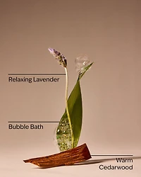 Spa Day For Mom Wallflowers Fragrance Refill