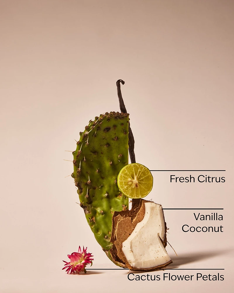 Cactus Blossom Car Fragrance Refill