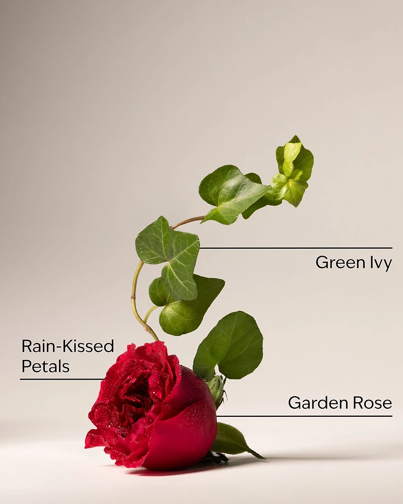 Kitchen Rose Dish Wash