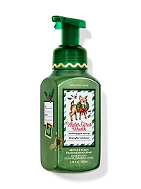 Winter Citrus Wreath Foaming Hand Soap