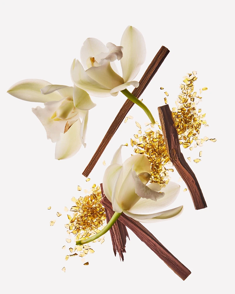 Dreamy Amber Wallflowers Fragrance Refill