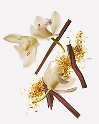 Dreamy Amber Wallflowers Fragrance Refill