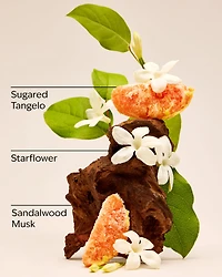 In the Stars Gift Set