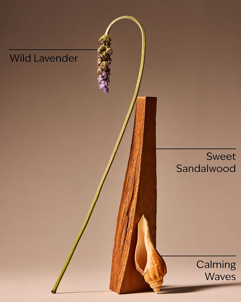 Oceanside Lavender 3-Wick Candle