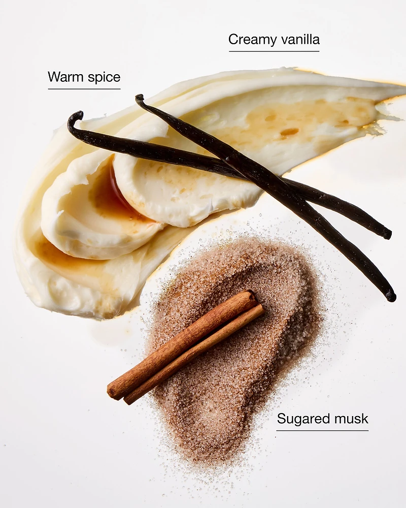 Sugared Snickerdoodle Wallflowers Refills 2-Pack
