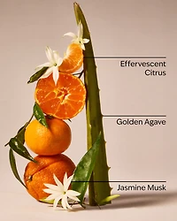 Sweet Orange & Agave Single Wick Candle