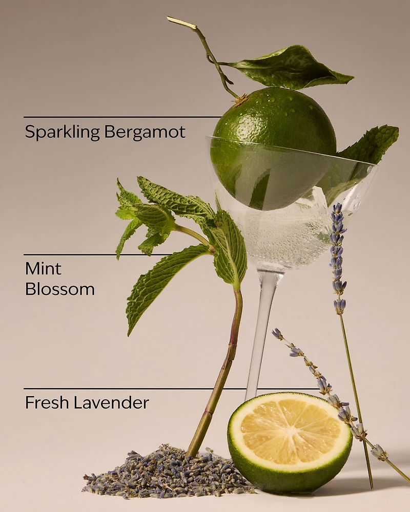 Clean House Vibes Wallflowers Fragrance Refill