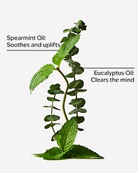 Stress Relief: Eucalyptus + Tea Essential Oil Mist