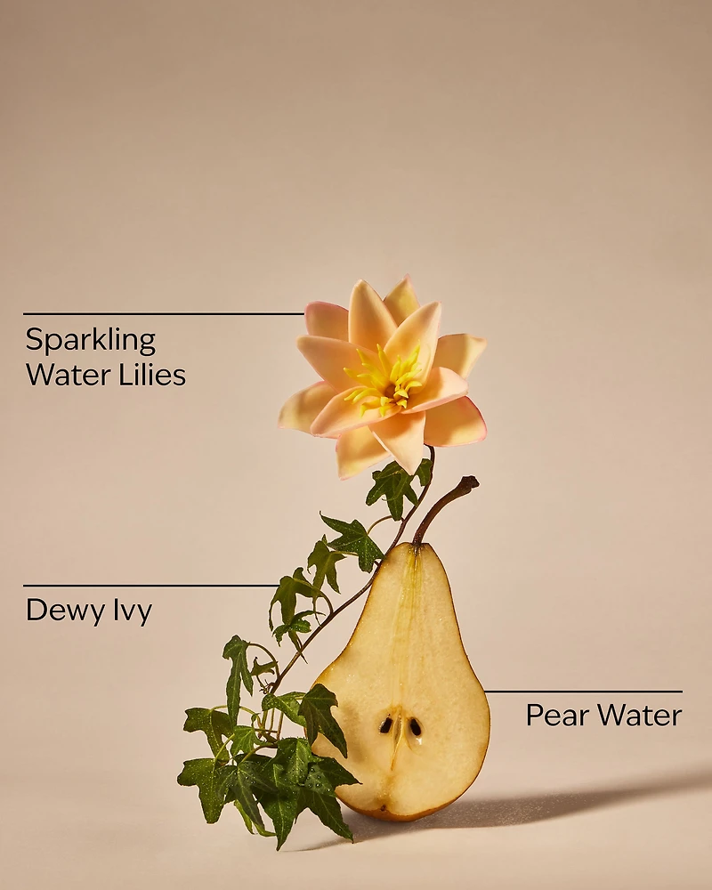 Dewy & Delicate Body Wash