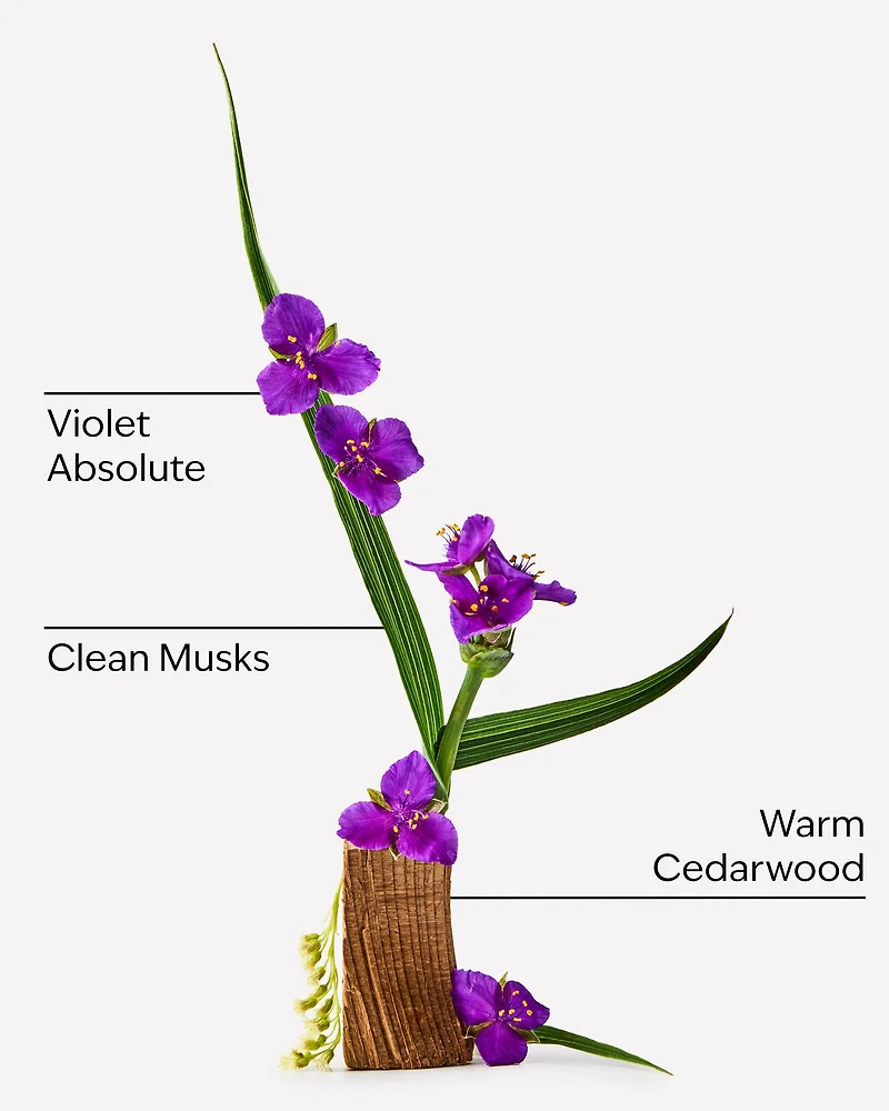Very Violet Fine Fragrance Mist
