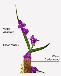 Very Violet Fine Fragrance Mist