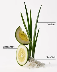 Sea Salt + Musk Wallflowers Fragrance Refill