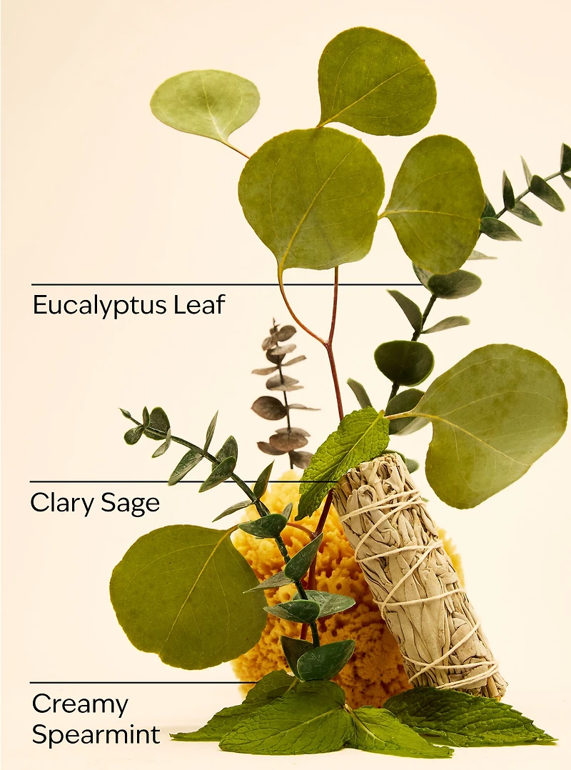 Eucalyptus Spearmint Essential Oil Mist