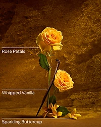 Belle Fine Fragrance Mist