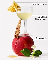 Champagne Apple & Honey Travel Size Fine Fragrance Mist