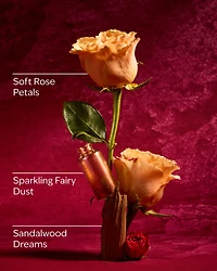 Aurora Wallflowers Fragrance Refill