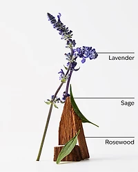 Lavender + Jasmine Room Mist