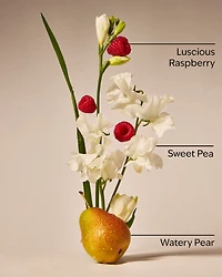 Sweet Pea Wallflowers Fragrance Refill