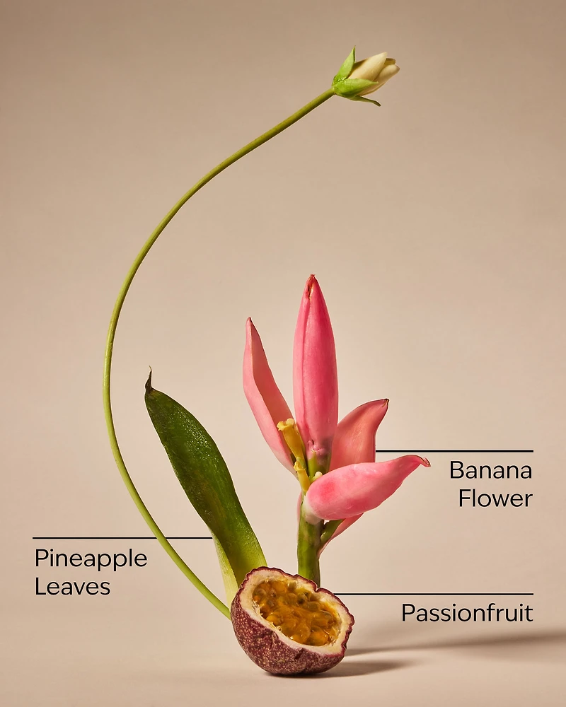 Bahamas Passionfruit & Banana Flower Body Lotion