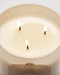 Vanilla Bean 3-Wick Candle