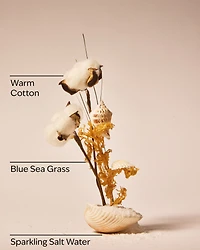 Beach Blanket Wallflowers Fragrance Refill