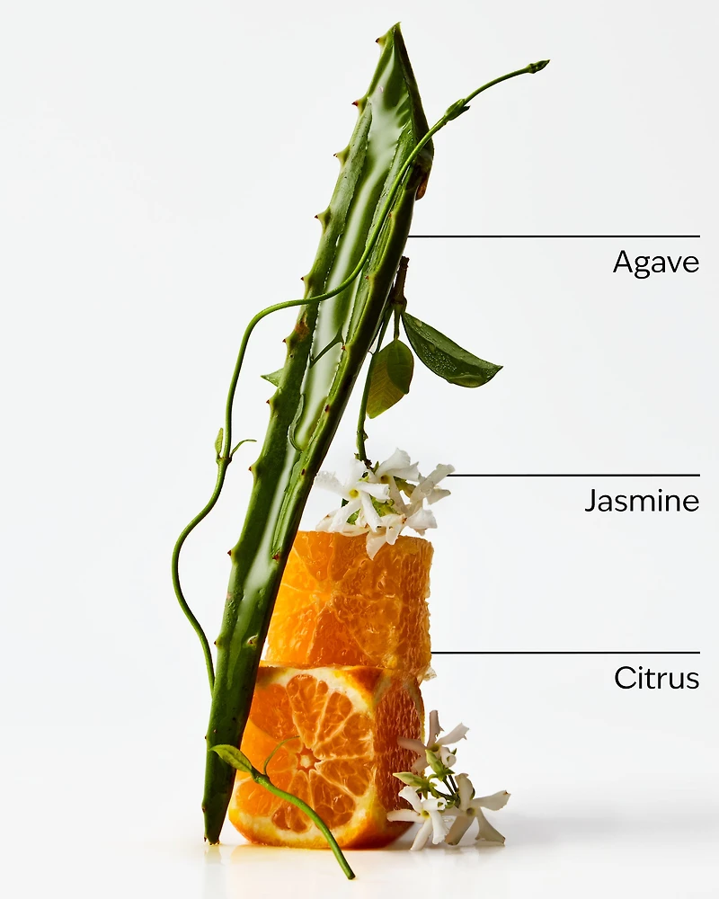 Sweet Orange + Agave Fragrance-Infused Liquidless Reeds