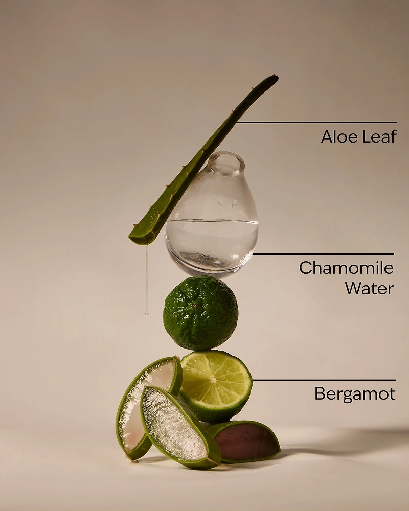 Fresh Rainfall PocketBac Hand Sanitizer