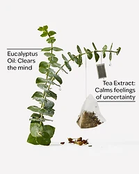 Eucalyptus Tea Ultimate Hydration Body Cream
