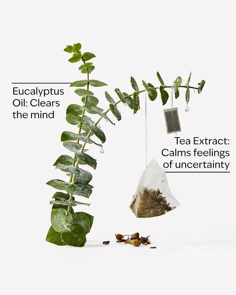 Eucalyptus Tea Moisturizing Body Lotion