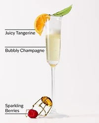 Champagne Toast Gentle & Clean Foaming Hand Soap