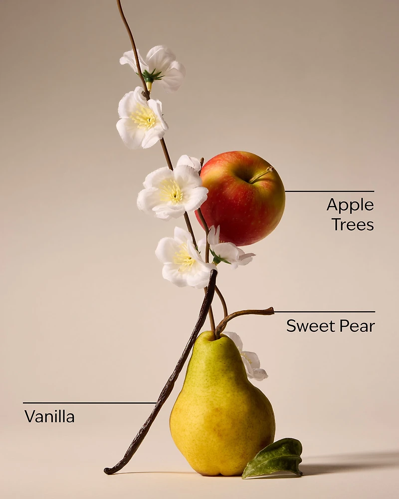 Spring Apple 3-Wick Candle