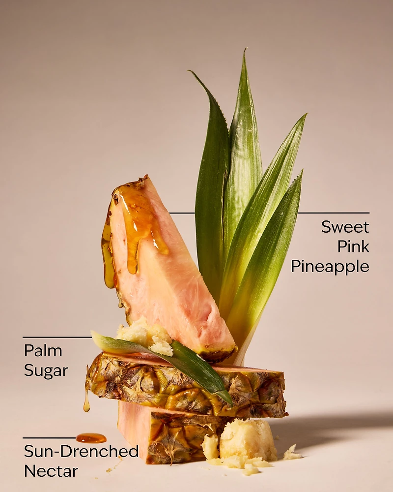 Pink Pineapple Sunrise Wallflowers Refills 2-Pack