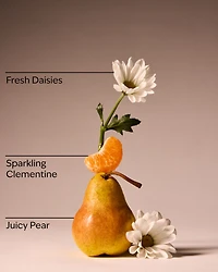 Gingham Fresh Travel Size Fine Fragrance Mist