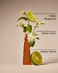 Sunwashed Santal 3-Wick Candle