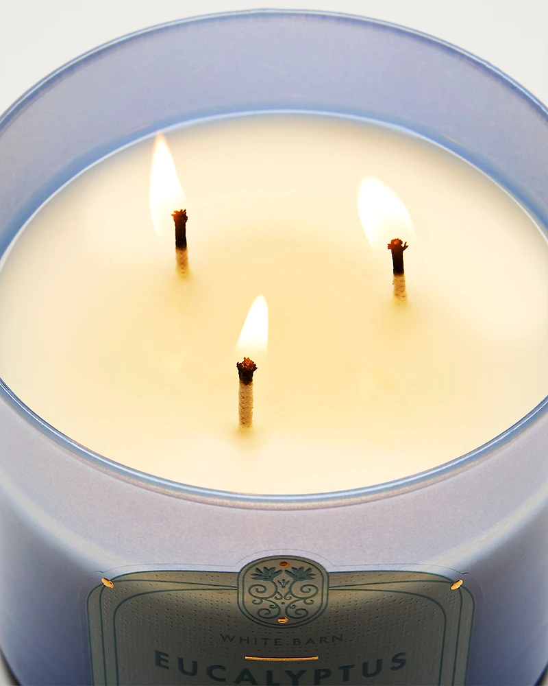 Eucalyptus Rain 3-Wick Candle