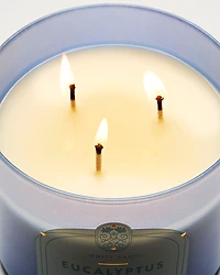 Eucalyptus Rain 3-Wick Candle