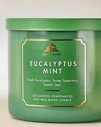 Eucalyptus Mint 3-Wick Candle