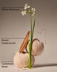 Flowerchild Wallflowers Refills 2-Pack