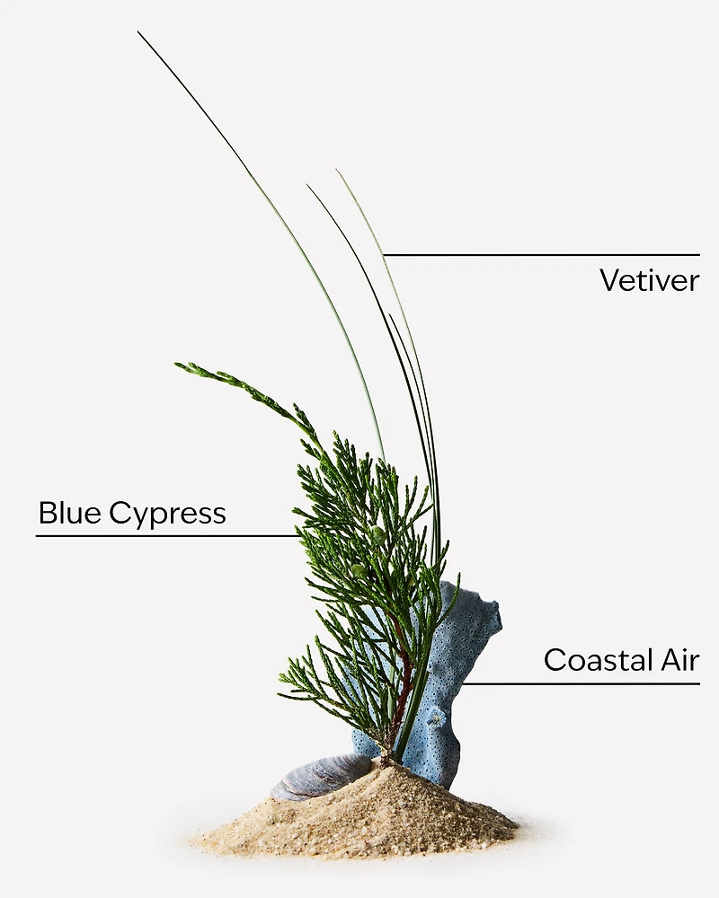 Ocean Deodorizing Body Spray