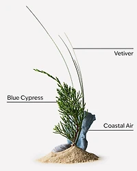 Ocean Deodorizing Body Spray