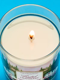 Frosted Cranberry Single Wick Candle