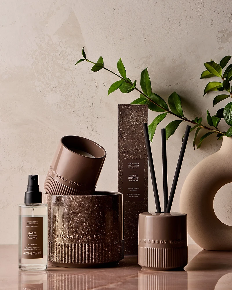 Sweet Orange + Agave Fragrance-Infused Liquidless Reeds