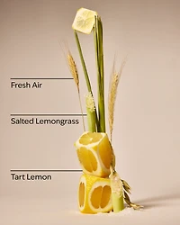 Laundry Room Lemon Wallflowers Fragrance Refill