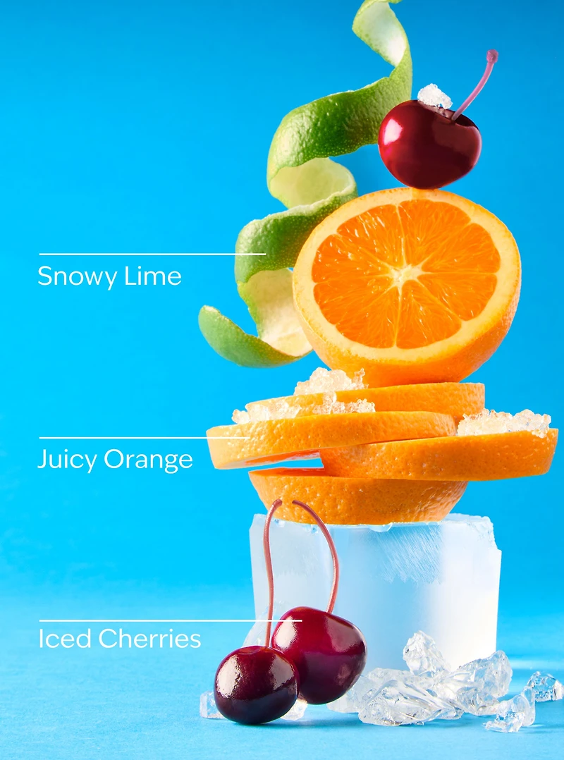 Winterberry Ice Gentle & Clean Foaming Hand Soap