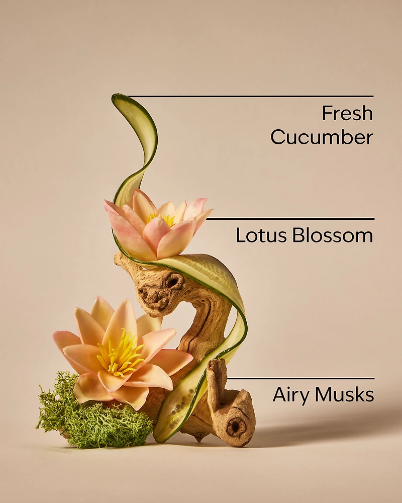 Crisp & Clean Fine Fragrance Mist