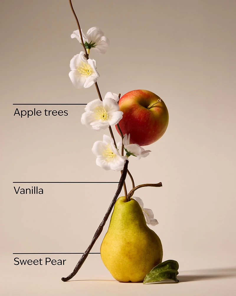 Spring Apple Wallflowers Fragrance Refill